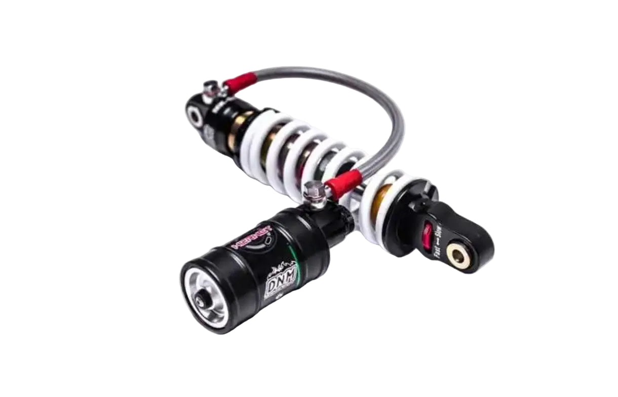 Federbein DNM MRF (IMR)